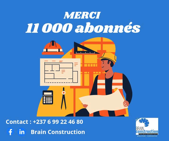 Brain Construction - Logo et identité
